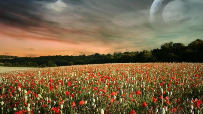 Google第N次尝试做即时通讯，社交梦能成真吗？